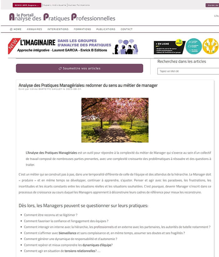 extrait-article-app Article "Analyse des Pratiques Managériales : redonner du sens au métier de manager"